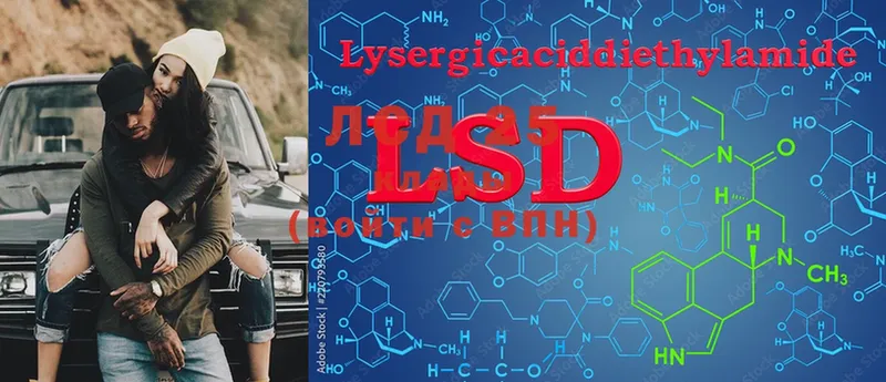 LSD-25 экстази кислота  blacksprut как войти  Печора 